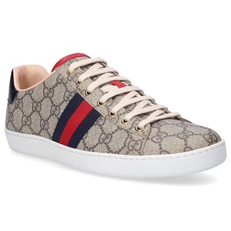 gucci low top sneakers price|low price gucci sneakers.